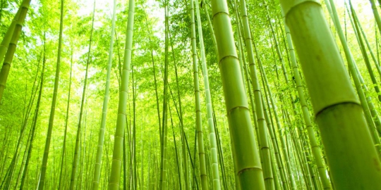 10 tradisi china yang datangkan keberuntungan