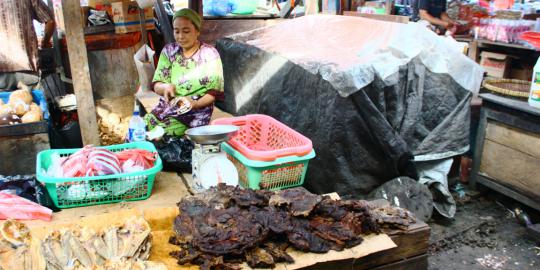 Sapi mahal, daging rusa jadi favorit warga Bintuni