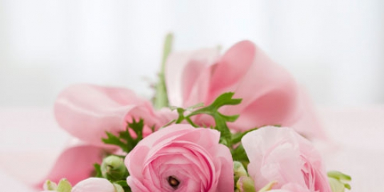 temukan arti di balik 6 warna bunga mawar