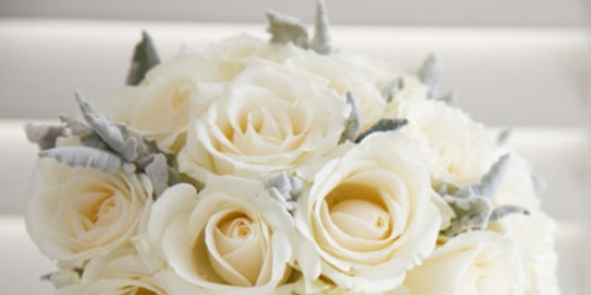 temukan arti di balik 6 warna bunga mawar