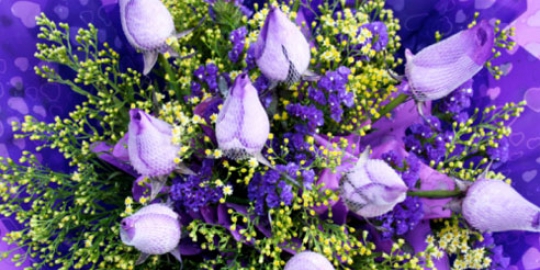 temukan arti di balik 6 warna bunga mawar