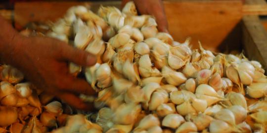 Bawang lokal lebih mahal dari impor, Mentan minta rakyat maklum