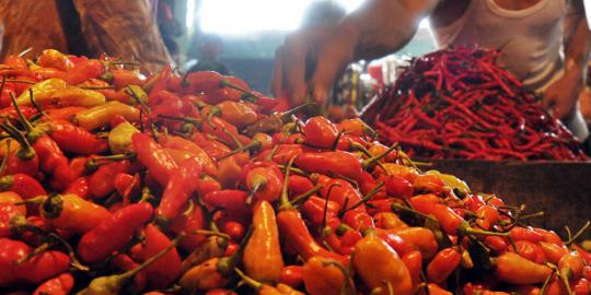 Hatta: Harga cabe dan bawang sudah turun, tapi masih tinggi