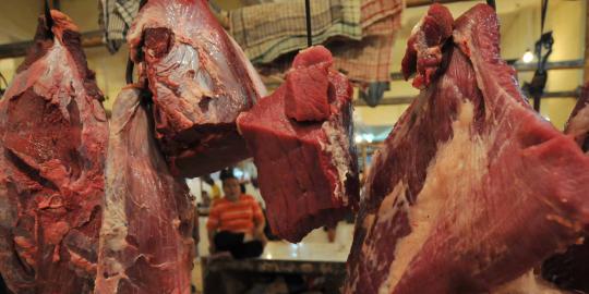 Dahlan kaget Kementan bisa tentukan importir daging sapi