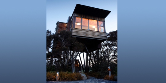 10 rumah pohon ini lebih keren dari apartemen