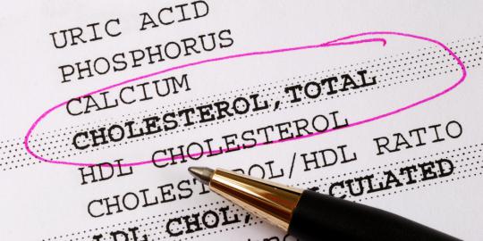 Trigliserida dan kolesterol, apa bedanya?
