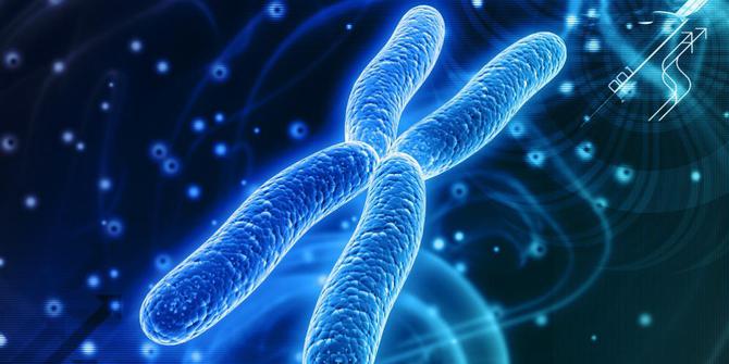  Kromosom  X pada pria  pengaruhi produksi sperma merdeka com