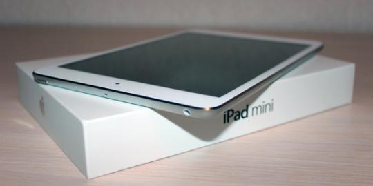 iPad Mini akan gunakan Retina Display?