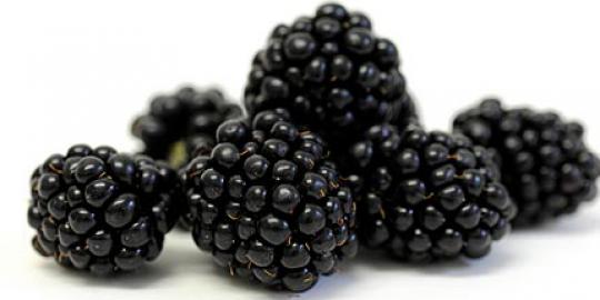 Ternyata blackberry ampuh mencegah obesitas!