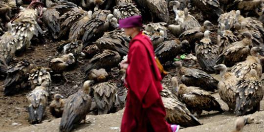 Tradisi mayat jadi santapan burung masih berlaku di Tibet