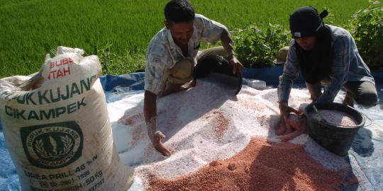 Harga batu bara turun, PTBA banting setir garap pupuk