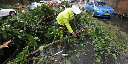 2 Pekan, sampah bekas tebangan pohon membusuk di Grogol 