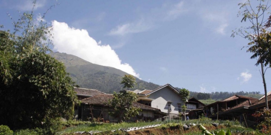 untuk mencangkul kebunnya rev1