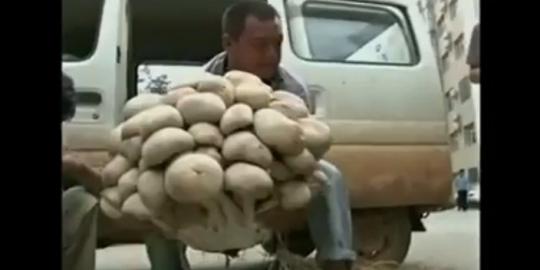 [Video] Jamur raksasa ditemukan di China