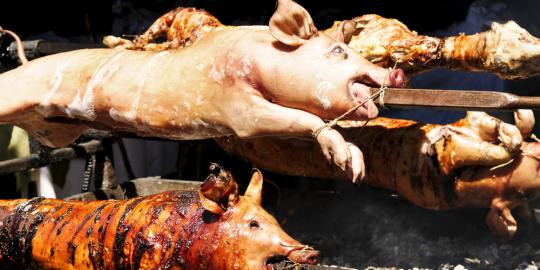 Di Purwokerto ditemukan daging babi dijual rak kemasan halal