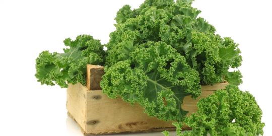 Kale, sayur dengan vitamin C lebih tinggi daripada jeruk