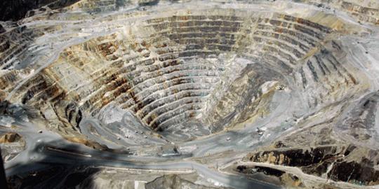 Hatta akui sebagian besar sumber daya mineral dikuasai asing