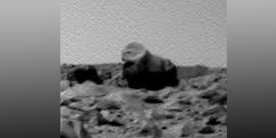 4 'hewan' penunggu mars yang berhasil diabadikan curiosity