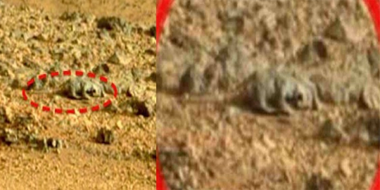4 'hewan' penunggu mars yang berhasil diabadikan curiosity