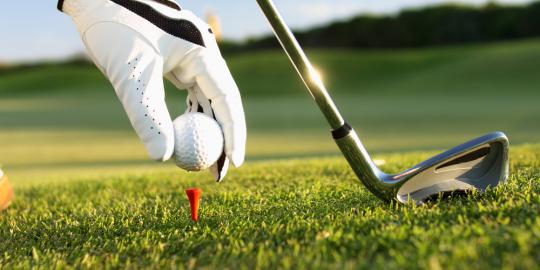 KPK sindir pejabat yang main golf