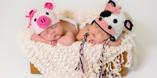 6 Fakta menarik tentang bayi kembar identik