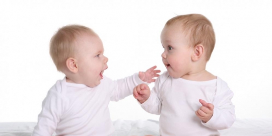 6 fakta menarik tentang bayi kembar identik