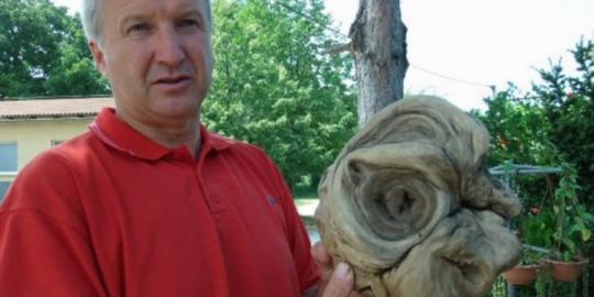 'Kepala alien' ditemukan di pemakaman di Kroasia
