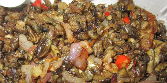 7 makanan ekstrem dari filipina, mau coba?