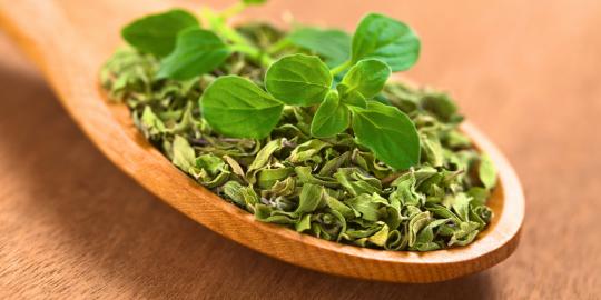 Oregano, herba alami pereda nyeri haid
