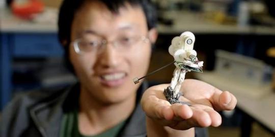 Robot mungil buatan China ini dapat bermanuver di udara