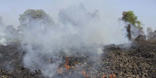 Hirup asap kebakaran hutan, pelajar di Riau pingsan dan asma