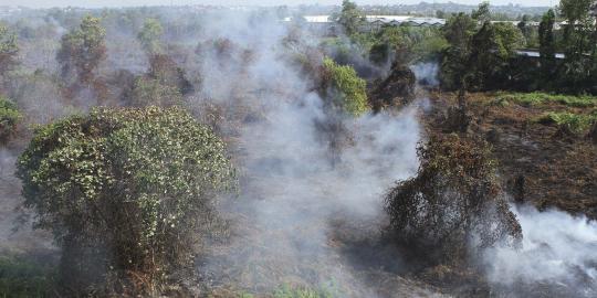 2 Direktur perusahaan sawit tersangka pembakaran lahan gambut