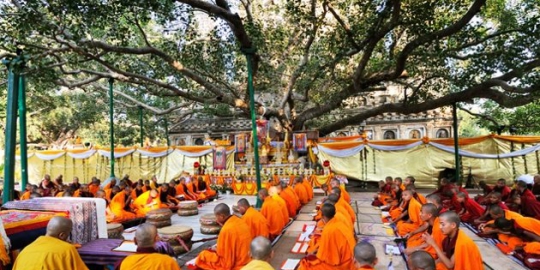 india rev3