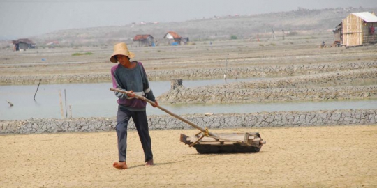 5 komoditas ini berjaya di era soeharto, tapi kini rajin impor