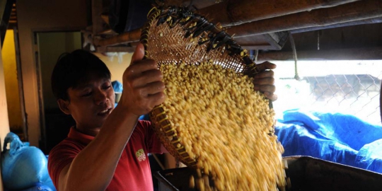 5 komoditas ini berjaya di era soeharto, tapi kini rajin impor
