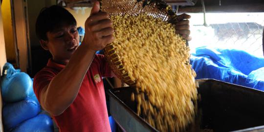 Kadin sebut ada perusahaan kuasai tata niaga kedelai