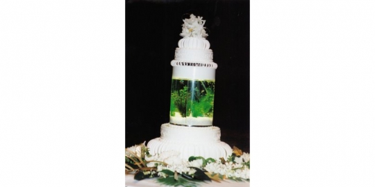 cake