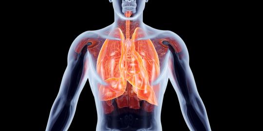 Satu dari 10 kematian di Eropa disebabkan penyakit paru-paru