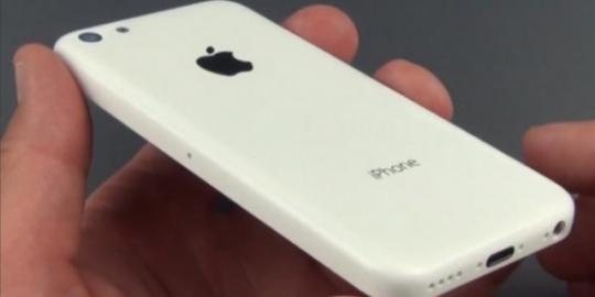 Casing iPhone 5C garansi seumur hidup