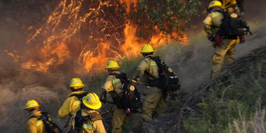 2 Menteri digugat 8 warga Riau terkait kebakaran hutan