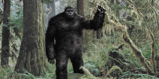 Bigfoot awalnya disebut dengan nama Jacko