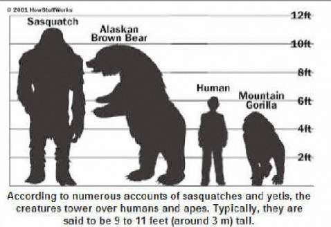 Bigfoot