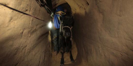 Militer Mesir hancurkan 152 terowongan menuju Gaza