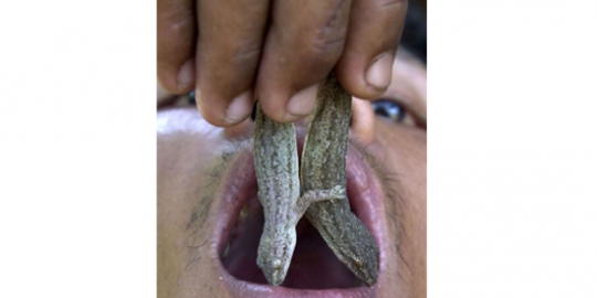 6 makanan menjijikkan yang dianggap menyehatkan