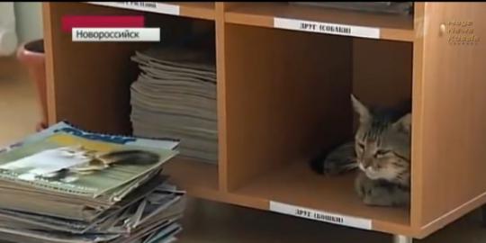 Kuzya, kucing yang jadi asisten perpustakaan