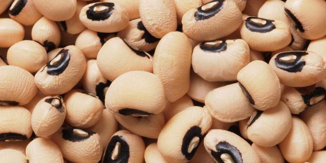 Kacang tunggak, si kaya protein pengganti daging | merdeka.com