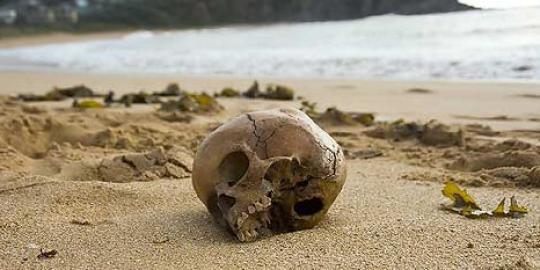 Disangka korban pembunuhan, ternyata tulang manusia purba