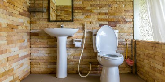 'Mayoritas toilet umum di Indonesia tak bersih dan sehat'