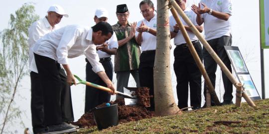 Setelah Ria Rio, masih 30 waduk yang harus dibereskan Jokowi