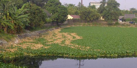 Ini tampang Waduk Tomang Barat yang bakal dipermak Jokowi